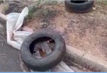 Reclamação da População: Morador mostra criadouro de mosquito no bairro Campo Belo III