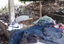 Reclamação da População: Moradores da rua Érico Veríssimo já pediram providências e não foram atendidos, casa está abandonada