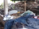 Reclamação da População: Moradores da rua Érico Veríssimo já pediram providências e não foram atendidos, casa está abandonada