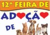 12ª Feira de Adoção de Animais acontece dia 29