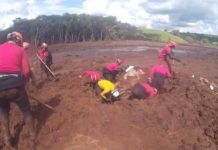 Um ano após tragédia, bombeiros da região de Presidente Prudente falam sobre experiência em Brumadinho: ‘Vida fica diferente’