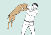 Pitbull ataca eletricista que prestava serviço em lava-rápido de Dracena