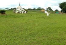 Voluntário que fez trabalhos em diversas praças de Dracena, quer agora embelezar o “Trevo da Santa”