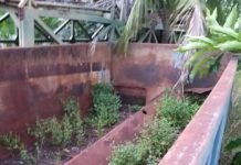 Moradores do bairro Tonico André reclamam de local com muito ferro velho que pode estar acumulando água