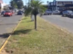 Poda de grama em canteiro central da avenida Washington Luiz por pouco não vira tragédia