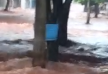 Chuva na tarde deste domingo (29) em Ouro Verde