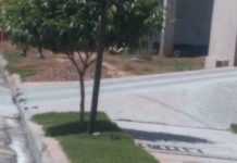 Cutia foi flagrada hoje no residencial Pitangueiras em Dracena