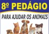 8º Pedágio para ajudar Animais acontece neste sábado