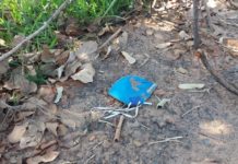 Reclamação a População: Lixo e entulho incomoda moradores do bairro Frei Moacir