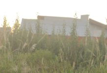 Reclamação da População: Terreno com mato mais alto que muro no jardim Bela Vista