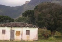 Mulher faz paródia de música de Chitãozinho e Xororó” para conscientizar população