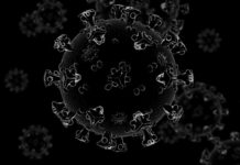 Com novas notificações, Presidente Prudente chega a 56 casos suspeitos do novo coronavírus