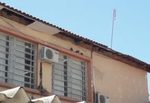 Reclamação da População: Muitos Pombos na Escola João Vendramini