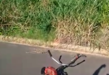 Reclamação da População: Morador do jardim dos Pássaros mostra descaso quanto a limpeza de terrenos