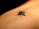Casos de Dengue disparam em Dracena e população cobra ação da administração