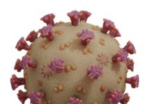 Secretaria de Saúde confirma primeiro caso positivo do novo coronavírus em Adamantina