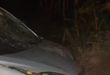 Mulher perde controle de direção e bate contra árvore durante a madrugada na SP-294