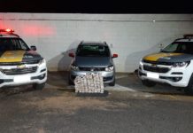 Policiamento Rodoviária prende homem com mais de 82 KG de Drogas na SP-425