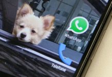 WhatsApp limita reenvio de mensagens a 1 destinatário por vez em meio à crise do novo coronavírus