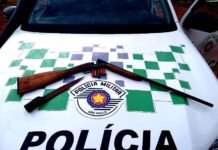 Polícia Ambiental aborda veículo com motorista e dois cães e apreende arma utilizada em caça