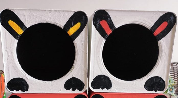 Voluntários fazem “Casinhas” de material reciclável para aquecer animais abandonados em Tupi Paulista