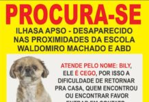Cachorro desapareceu das proximidades da ABD