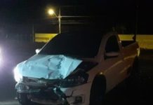Três carros se envolvem em acidente com animal na pista na SP-294