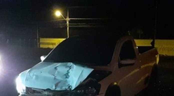 Três carros se envolvem em acidente com animal na pista na SP-294