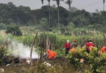 Bombeiros resgatam corpos de três profissionais de saúde e um piloto em queda de avião no Ceará
