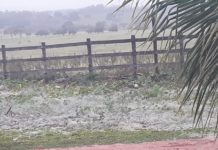 Madrugada com baixa temperatura registra Geada em Dracena