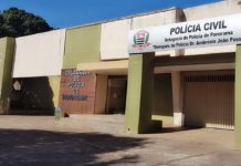Polícia Civil em ação de investigação captura autor de feminicídio em Panorama
