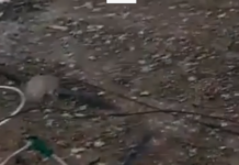 Reclamação da População: Rodoviária de Dracena tem muita sujeira e mau cheiro das fezes de Pombos