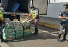 Policiais desconfiam de nervosismo de motorista e encontram 223 quilos de maconha em caminhão-baú
