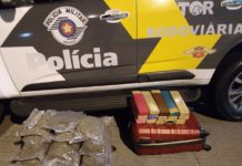 Polícia apreende maconha e skank durante abordagem na Rodovia Raposo Tavares, em Presidente Venceslau