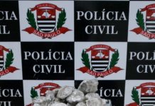 Polícia Civil prende traficante e apreende maconha em um acampamento rural em Paulicéia.