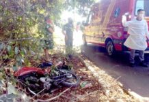 Atacado por abelhas, bombeiro passa mal, cai de moto e é socorrido em Andradina