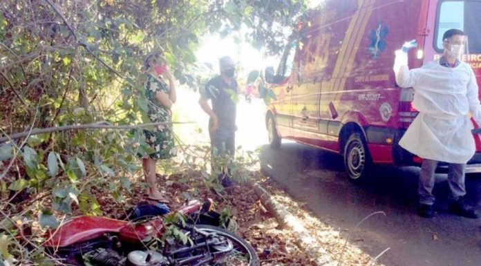 Atacado por abelhas, bombeiro passa mal, cai de moto e é socorrido em Andradina