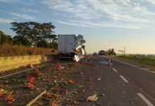 Carga de banana fica espalhada na SP-425 após acidente envolvendo dois caminhões