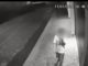 Polícia Civil identifica autor e esclarece uma série de sete furtos de câmeras de vigilância e monitoramento em Dracena