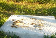 Reclamação da População: seres que não sabemos se devem ser chamados de humanos continuam jogando entulho na porta de vizinhos