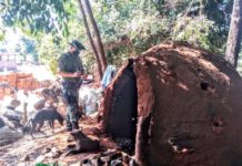 Mais de uma tonelada de carvão vegetal é apreendida durante operação da Polícia Ambiental