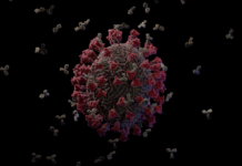 Casos e mortes por coronavírus no Brasil em 19 de julho, segundo consórcio de veículos de imprensa (atualização das 8h)