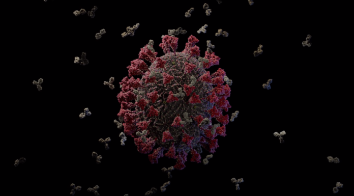 Brasil tem 71,5 mil mortes por coronavírus e mais de 1,8 milhão de infectados, mostra consórcio de veículos de imprensa