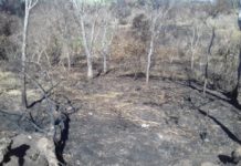 Polícia Ambiental constata crimes ambientais e autua Usina Sucroalcooleira em mais de R$ 362 mil