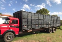 Polícia Civil esclarece furto de gado que causou prejuízo de R$ 100 mil em Junqueirópolis