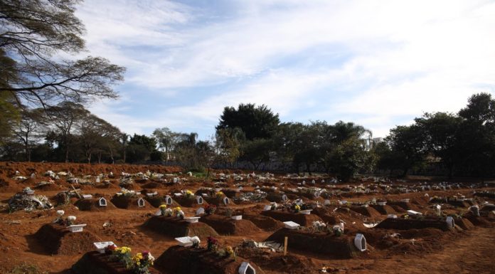Estado de SP completa 50 dias com média móvel superior a 200 mortes diárias por Covid-19; total de casos passa de 400 mil