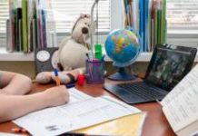 Pandemia transforma Plurall, do Sistema Anglo, na maior plataforma de ensino digital do país