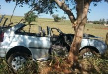 Choque contra árvore foi registrado no acesso a Ouro Verde na tarde deste domingo