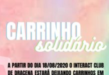 Interact Club de Dracena realiza o “Carrinho Solidário”