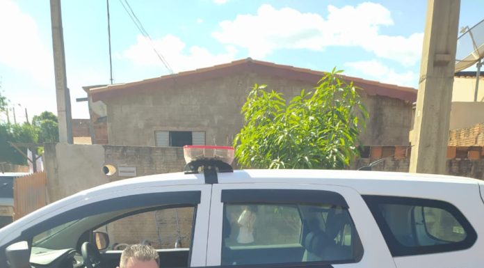 Policiais trabalhavam em ocorrência quando foram surpreendidos por pequeno fã